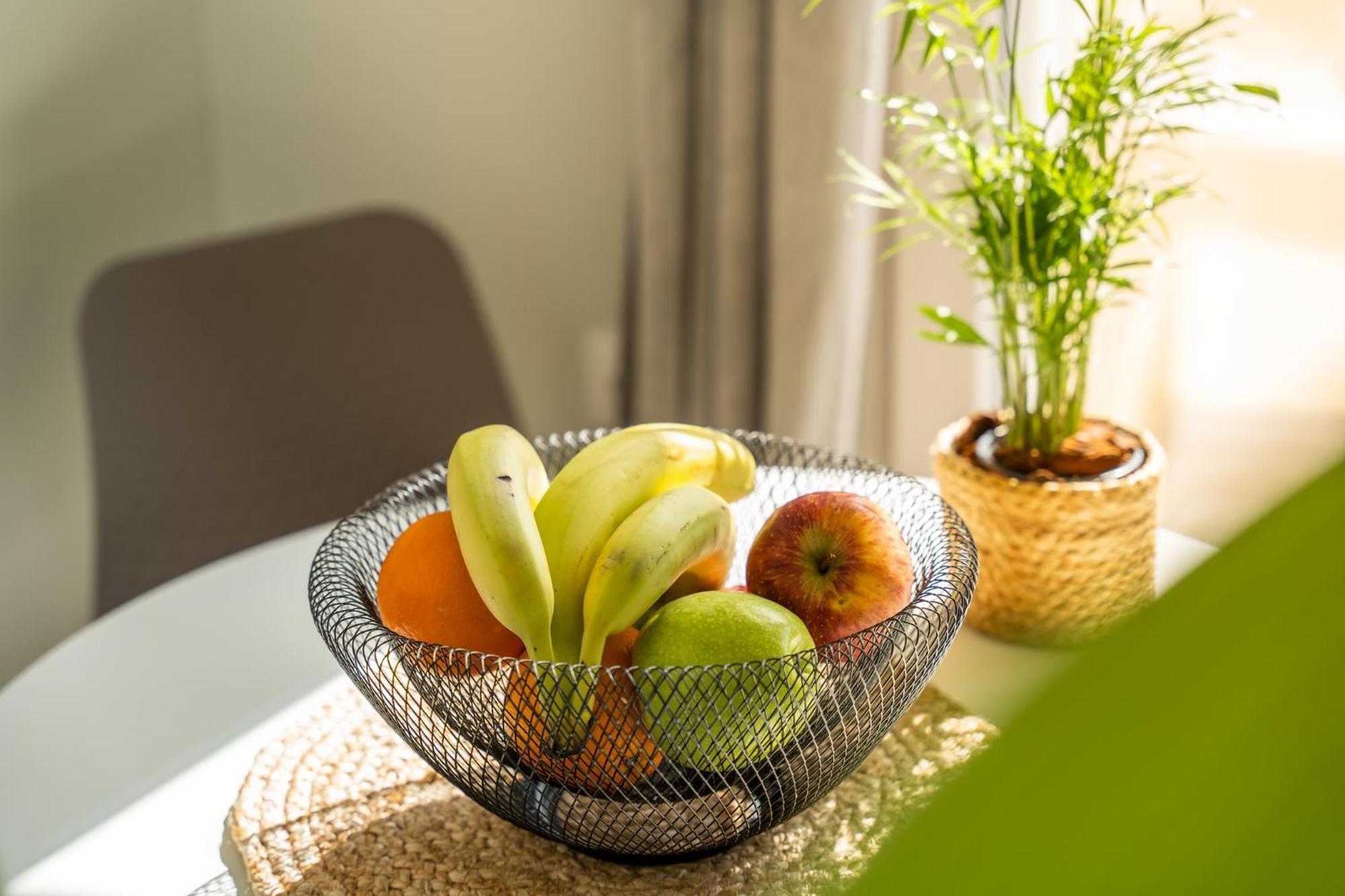 Appartement S12